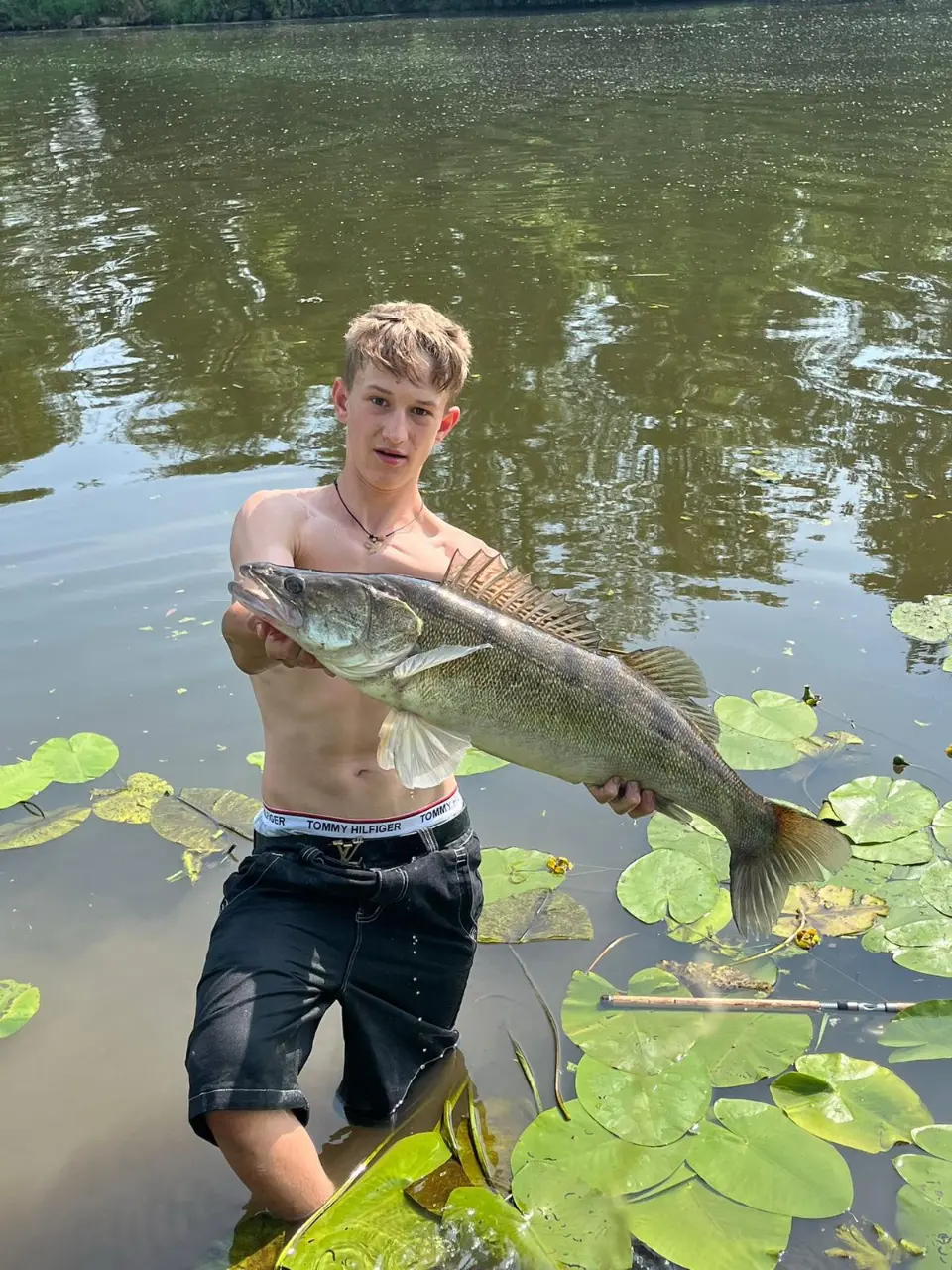 Zdenda Vlach
