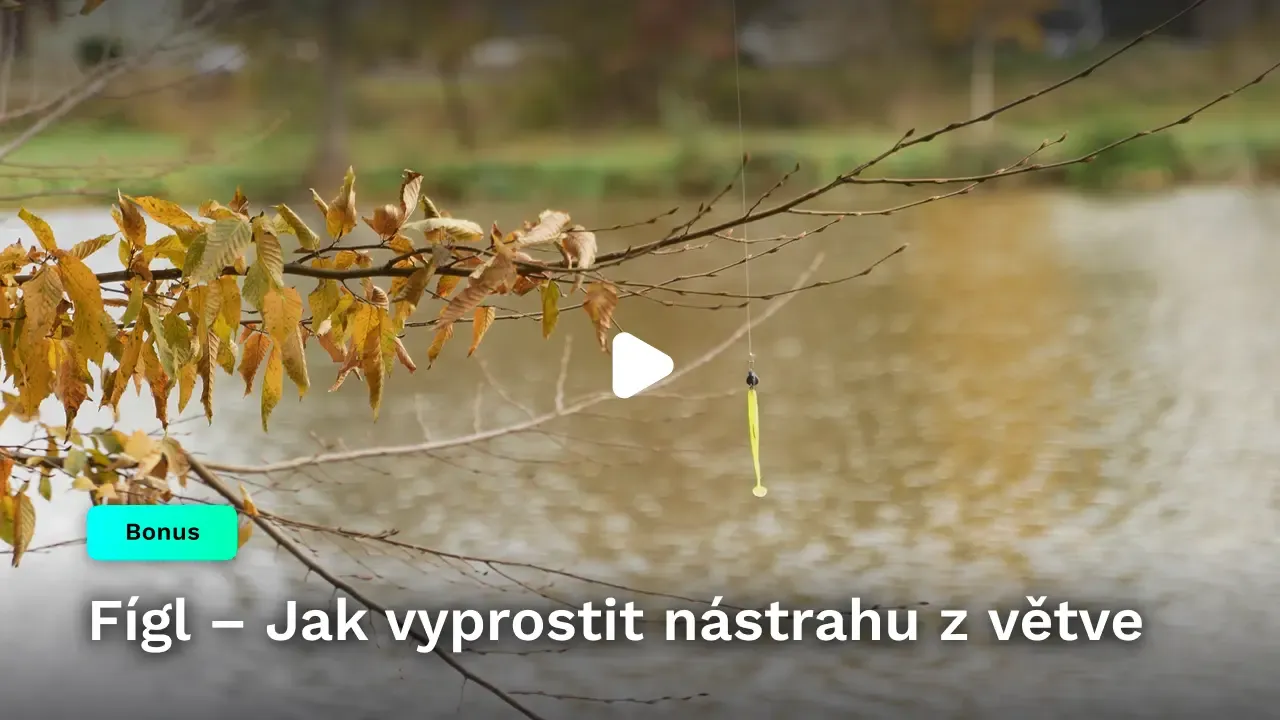 Fígl – Jak vyprostit nástrahu z větve