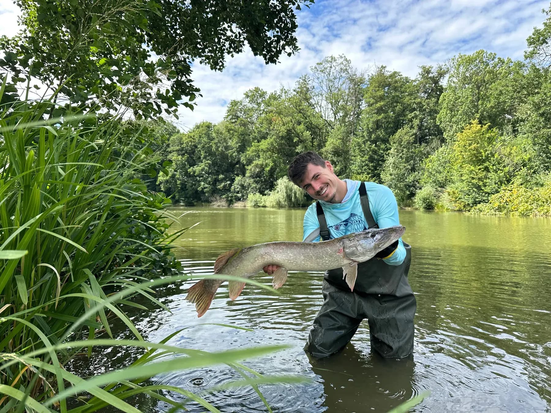 Slepé rameno Labe u Poděbrad – fotka 8