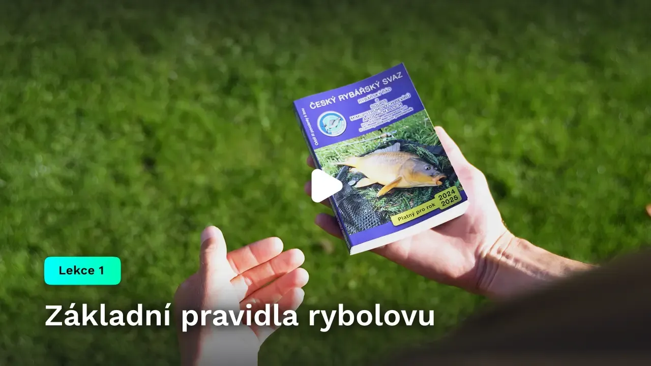 Základní pravidla rybolovu