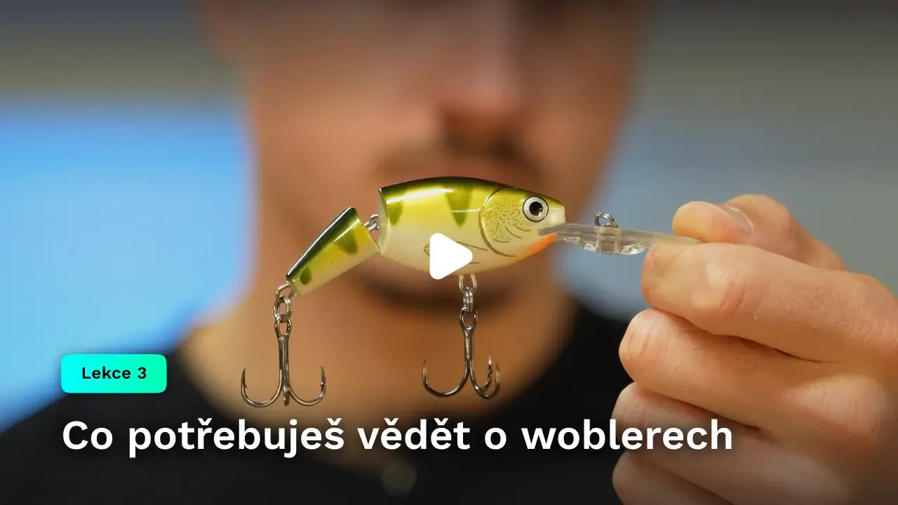 Co potřebuješ vědět o woblerech