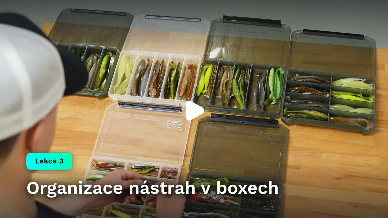 Organizace nástrah v boxech