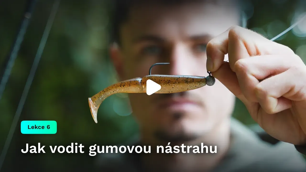 Jak vodit gumovou nástrahu