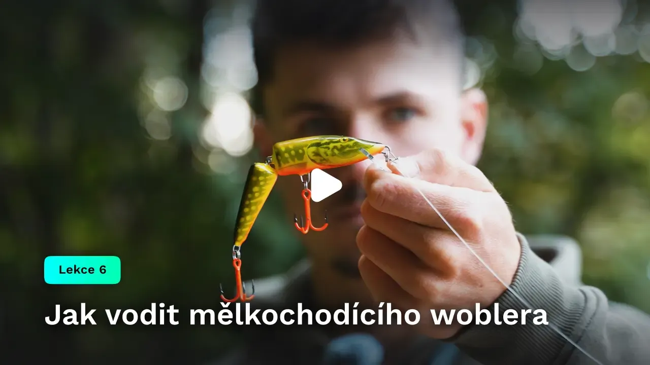 Jak vodit mělkochodícího woblera