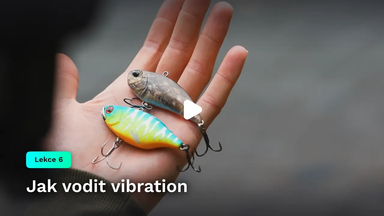 Jak vodit vibration