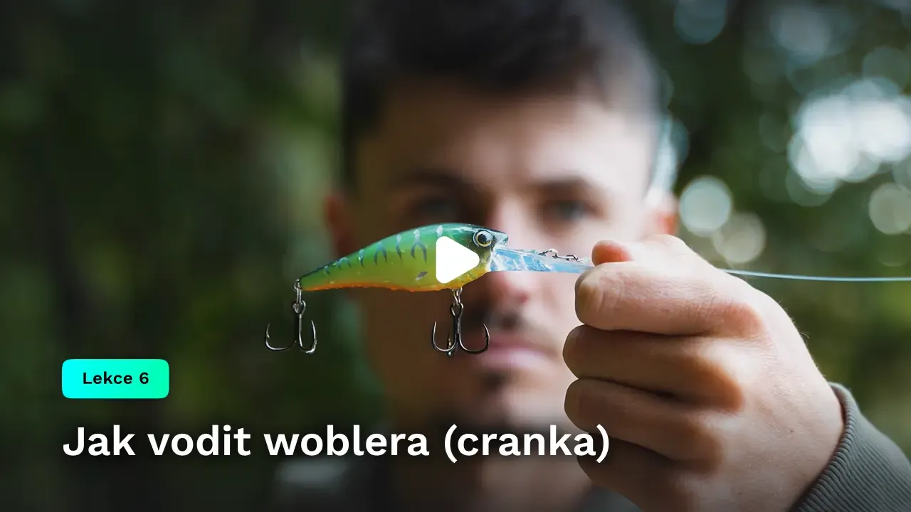 Jak vodit woblera (cranka)