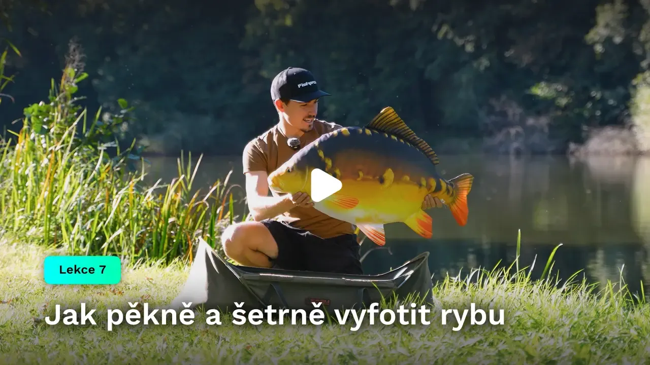 Jak pěkně a šetrně vyfotit rybu
