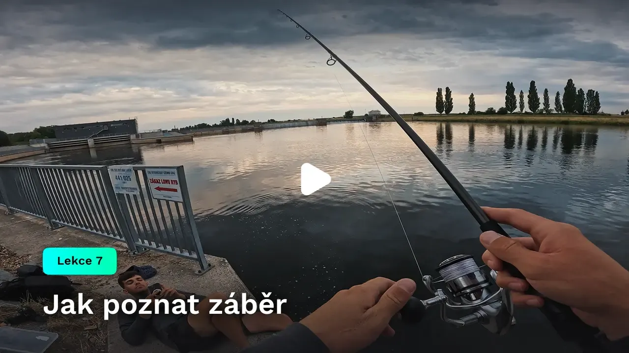 Jak poznat záběr