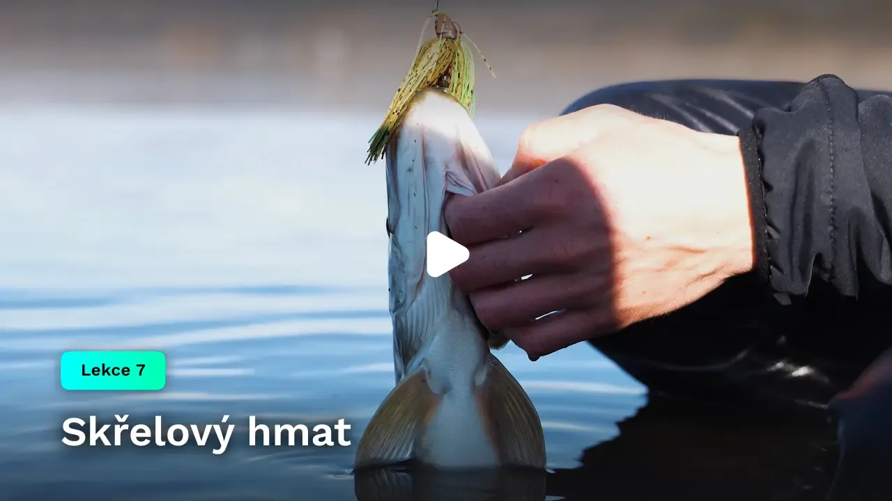 Skřelový hmat
