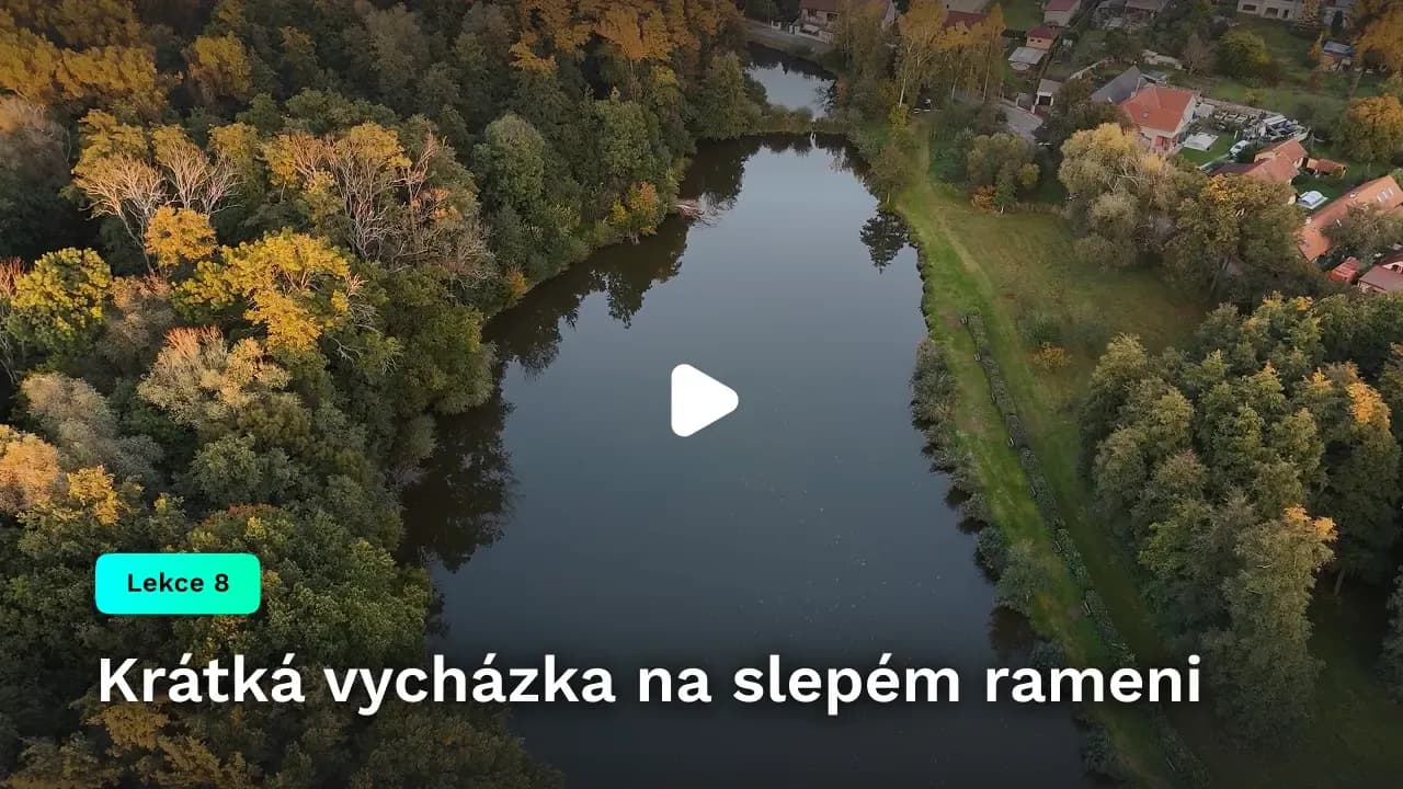 Krátká vycházka na slepém rameni