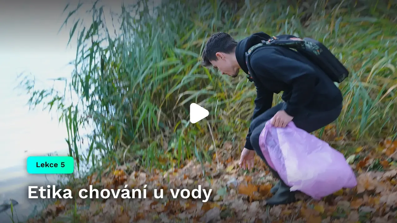 Etika chování u vody
